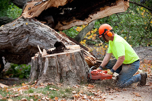 Mulching Services in Bethesda, MD
